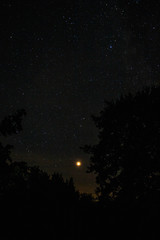 Naklejka premium Mars above the trees in the night sky- August 2018