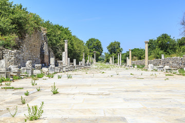 Port road of antique roman city Ephesus in Izmir, Turkey