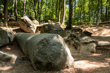 Obraz premium Boulder stream of Lautertal