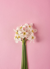 Image of beautiful flowers on background