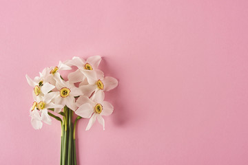 Image of beautiful flowers on background