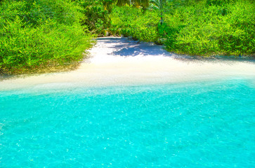 Obraz premium White sand beach with turquoise water and green plants from above