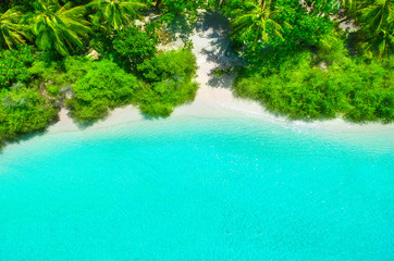 White sand beach with turquoise water and green plants from above - obrazy, fototapety, plakaty