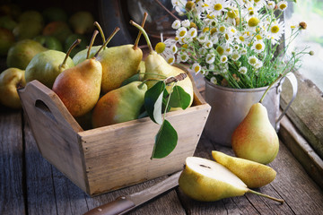 Fresh pears in a wooden crate, bouquet of daisies on wooden table near windows inside the retro village house. © chamillew
