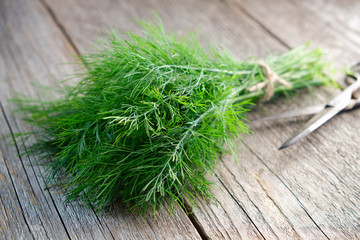 Bunch of fresh green dill and scissors on wooden board.