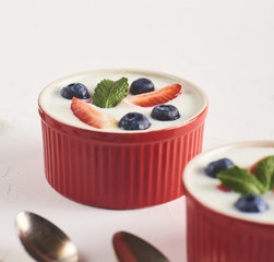 Homemade Greek yogurt or sour cream in a red bowl