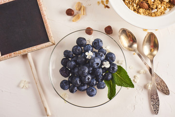 Blueberries in plate on white background