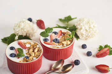 Homemade Greek yogurt or sour cream in a red bowl