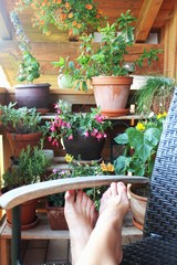Urlaub auf dem Balkon, Allgäu, Bayern