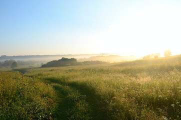 Fototapeta premium beautiful field landscape