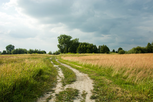 Road through a field of grain, trees and rain clouds in the sky