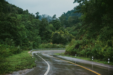 Foggy road in the forest ,Beautiful nature trail (Picture put grain)