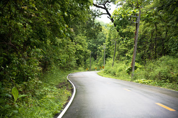 Foggy road in the forest ,Beautiful nature trail (Picture put grain)