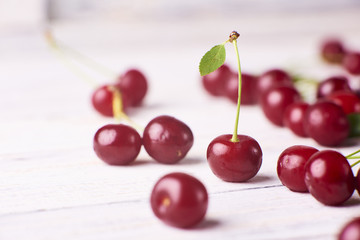 Close-up view of fresh ripe cherry on white