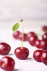 Close-up view of fresh ripe cherry on white