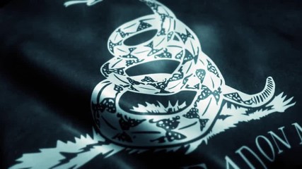 Waving Flag Black Don't Trad on me Flag