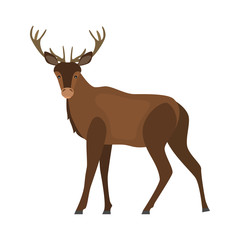Deer color vector icon. Flat design