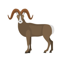 Wild goat color vector icon. Flat design