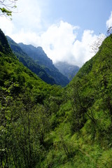 Fototapeta premium Wilde Natur in den Bergen