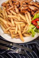 Greek gyros dis with fries and salad