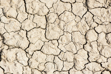 Drought alarm