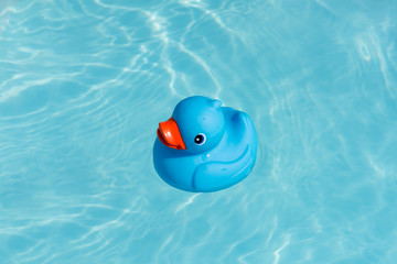 A single blue rubber duck floats in a paddling pool
