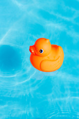 A single orange rubber duck floats in a paddling pool