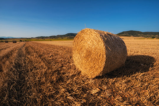 hay bail harvesting in golden field landscape