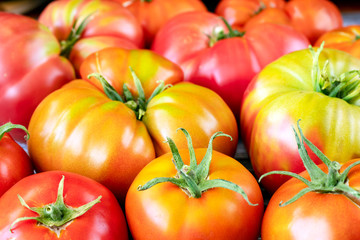 Organic heirloom tomatoes close-up