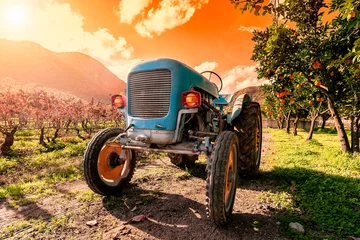 Schilderijen op glas Sunset on an old light blue tractor for agricultural crops © francescomou
