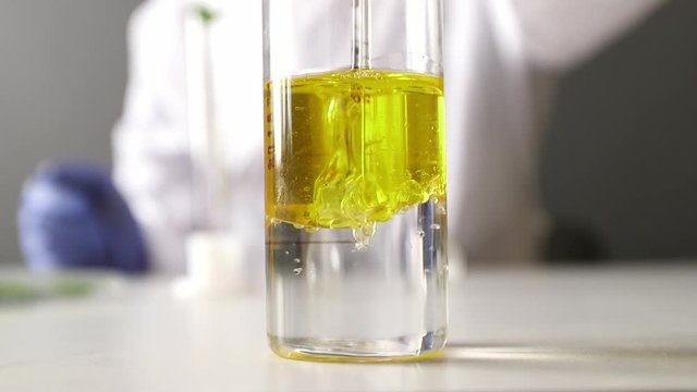 Research of sunflower oil in the laboratory