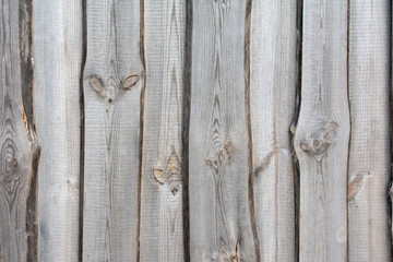 Closeup of weathered wall made from boards of silver wood with knots