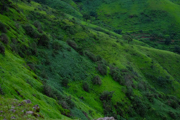 Lush green monsoon nature landscape mountains, hills, Purandar, Pune, Maharashtra, India 