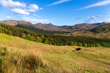 Highland landscape near Ratagan