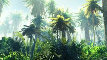 Tropischer Dschungel im Nebel. Palmen am Morgen. © ustas