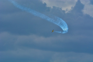 Duck feeding with bread in the city park