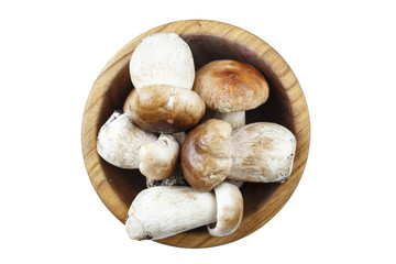 boletus in a plate isolated