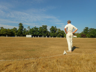 Fielder watching cricket match, Chorleywood Common