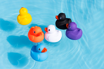 Six colourful rubber ducks, a family of ducks, yellow, blue, purple, black, white and orange, swimming in the water in a paddling pool