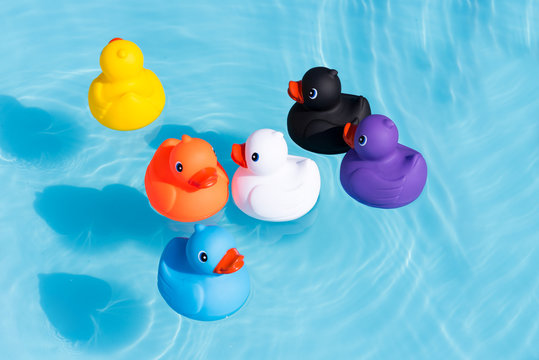 Six Colourful Rubber Ducks, A Family Of Ducks, Yellow, Blue, Purple, Black, White And Orange, Swimming In The Water In A Paddling Pool