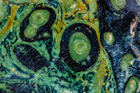 Macro mineral stone jasper kambaba on a white background