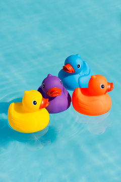 Four colourful rubber ducks, a family of ducks, yellow, blue, purple and orange, swimming in the water in a paddling pool