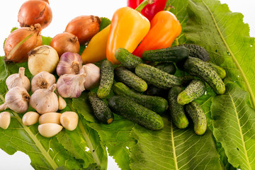 composition of fresh vegetables on a white background