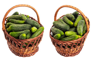 wicker basket with about ripe homemade cucumber with selective focus isolated on white background