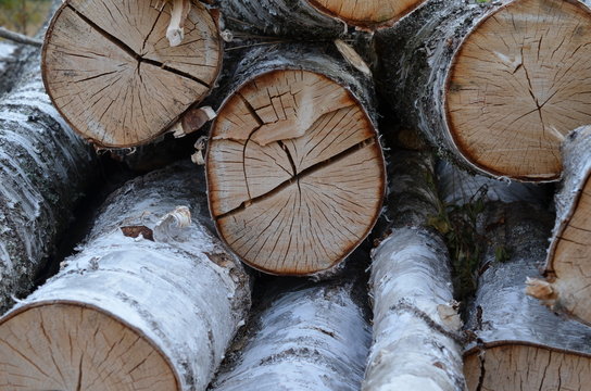 Pniaki Images Browse 58 Stock Photos, Vectors, and Video Adobe Stock