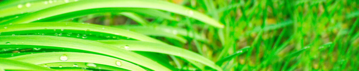 Nature Photos Royalty Free Images Graphics Vectors