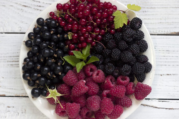 Red and black currants and raspberries and mint, useful ripe berries on a plate, wooden white background
