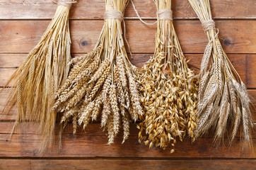 ears of wheat, rye, barley and oats on wooden background
