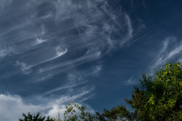 Obraz premium Natural background, natural, bright and rich texture. Sky with clouds. Warm weather. Spectacular colors.