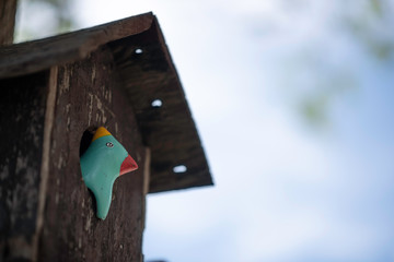 Wooden bird In the house of birds of wood with a backdrop of sky